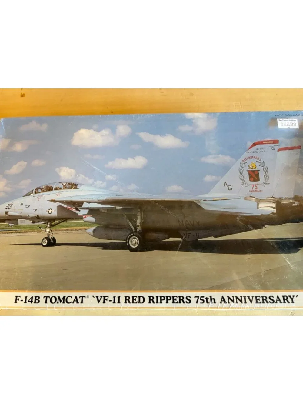 Hasegawa 1/72 F-14B Tomcat 